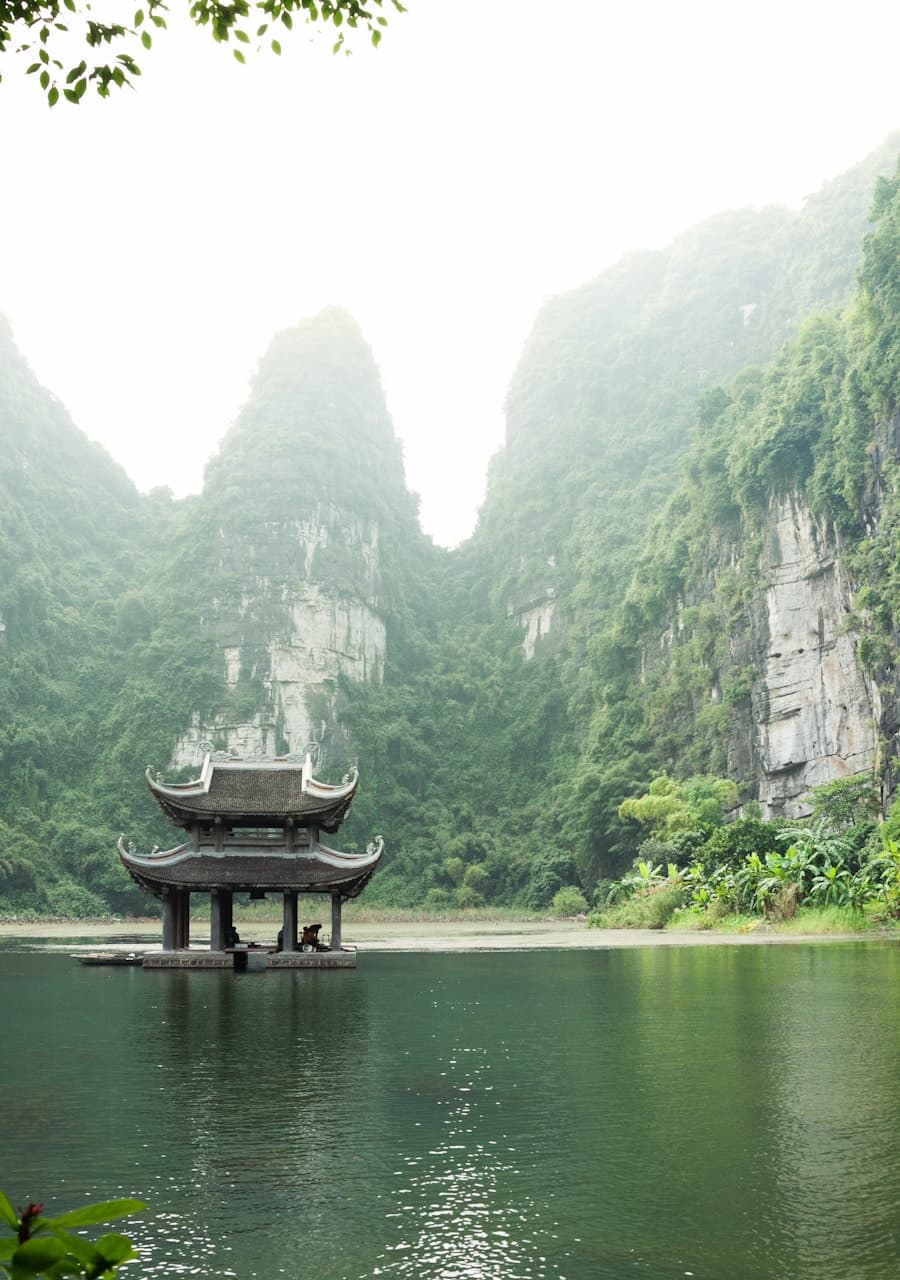 Ozo Park: một ngày giữa rừng xanh
